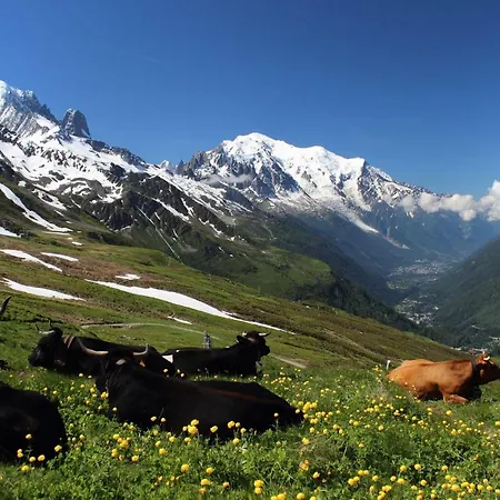 Appartement Chalet Des Pistes Frasses *