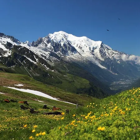 Chalet Des Pistes Frasses Appartement